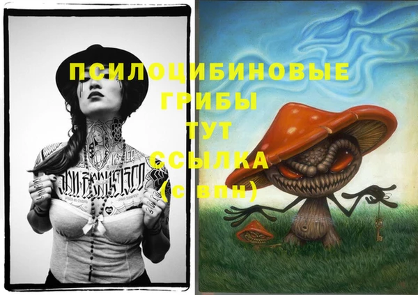 дживик Алзамай